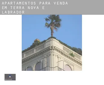 Apartamentos para venda em  Terra Nova e Labrador